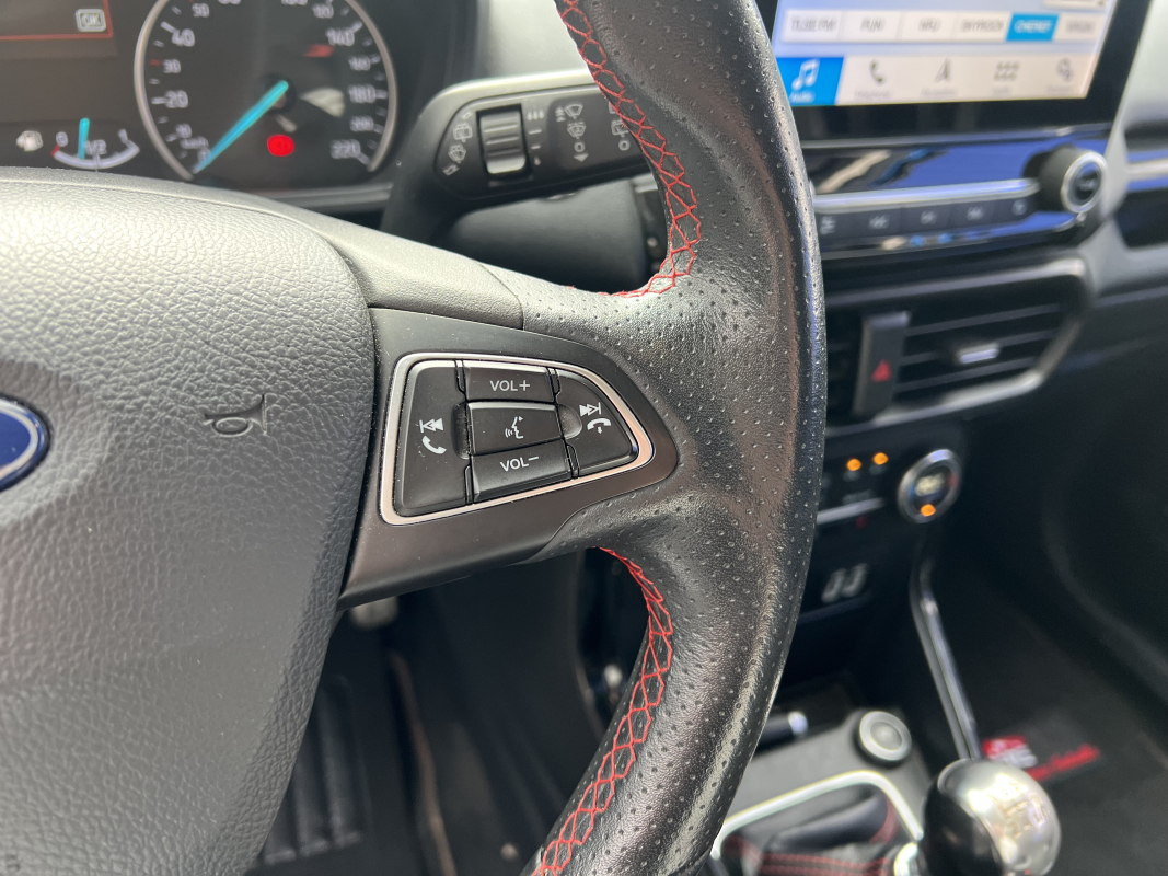 Ford Ecosport — 19