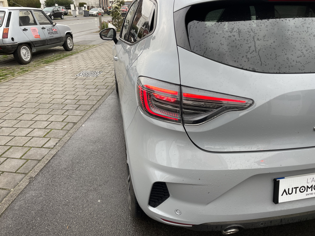 Renault Clio — 29