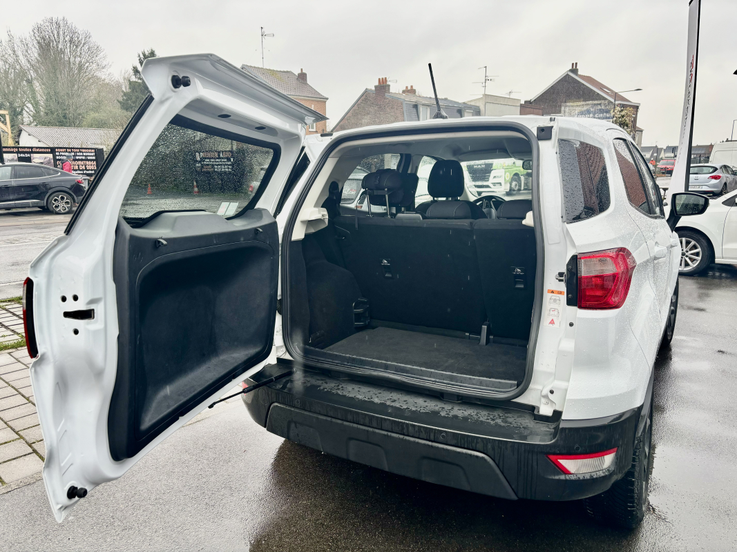 Ford Ecosport — 16