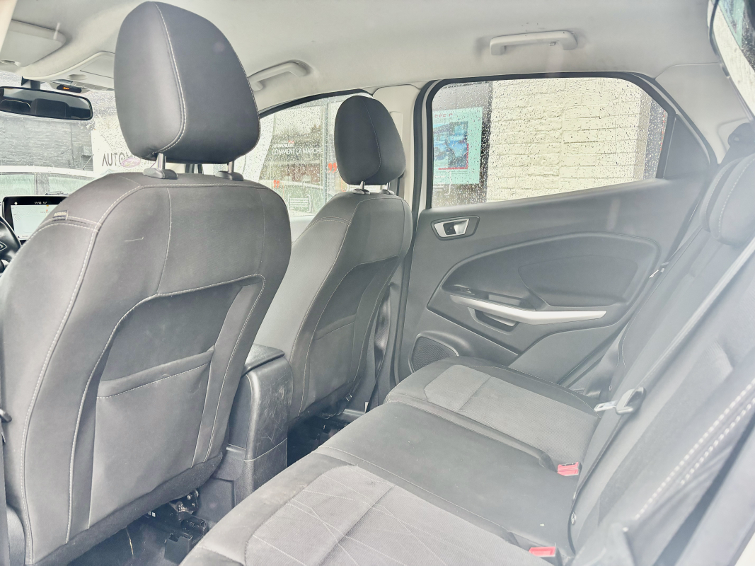 Ford Ecosport — 13