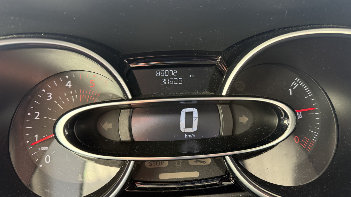 Renault Clio — 15