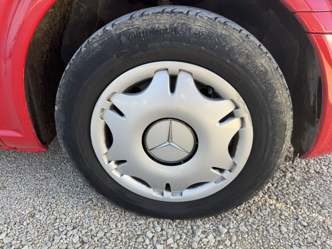 Mercedes Viano — 21