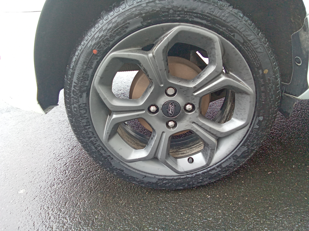 Ford Ecosport — 21