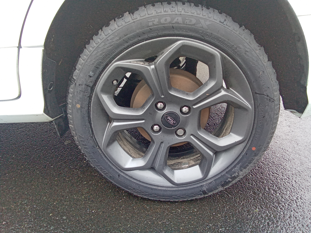 Ford Ecosport — 22