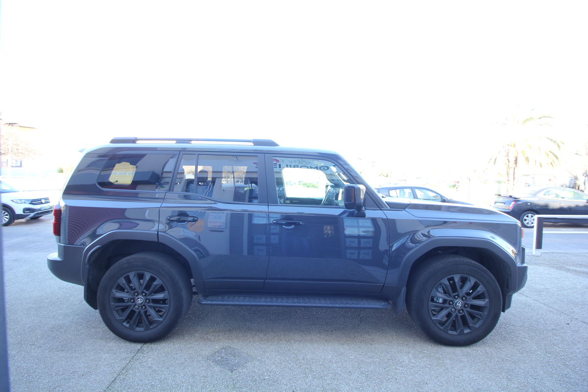 Toyota Land Cruiser — 6