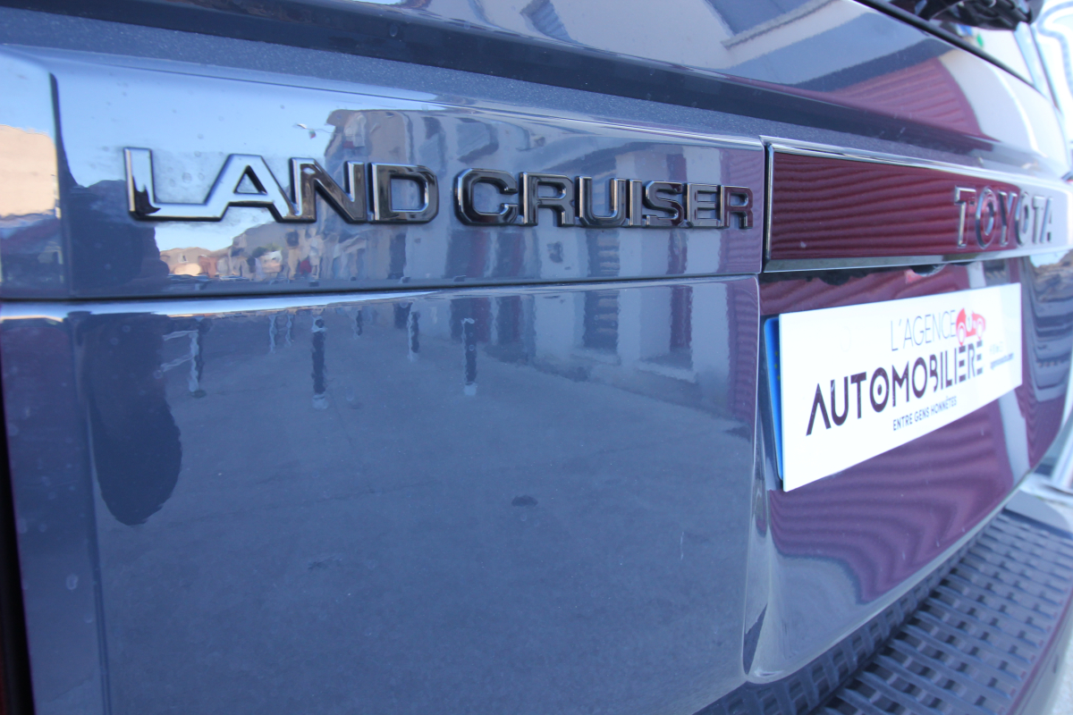 Toyota Land Cruiser — 29