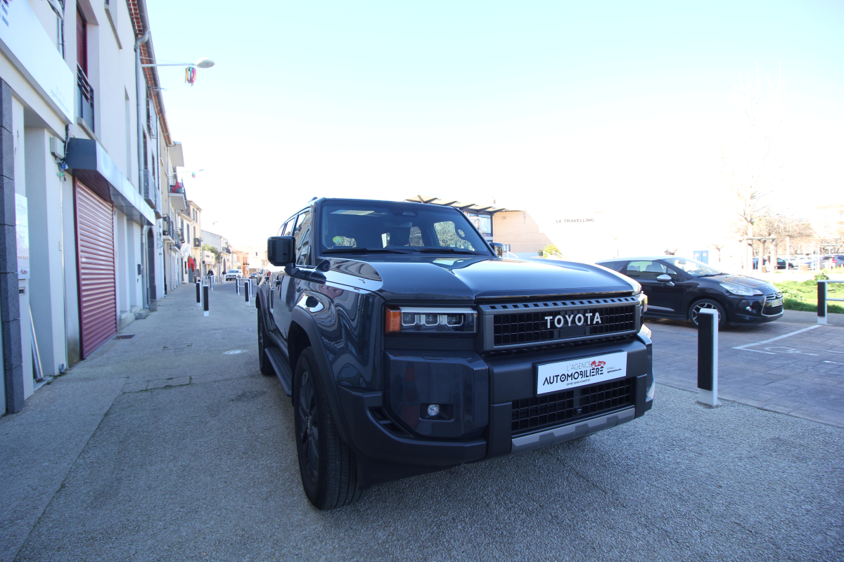 Toyota Land Cruiser — 7