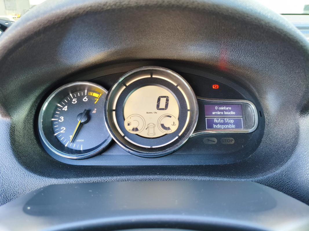 Renault Megane — 12