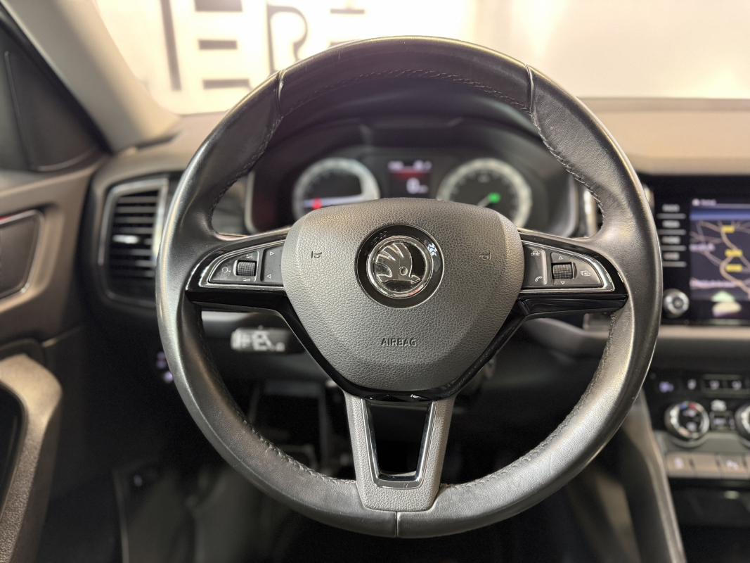 Skoda Kodiaq — 19