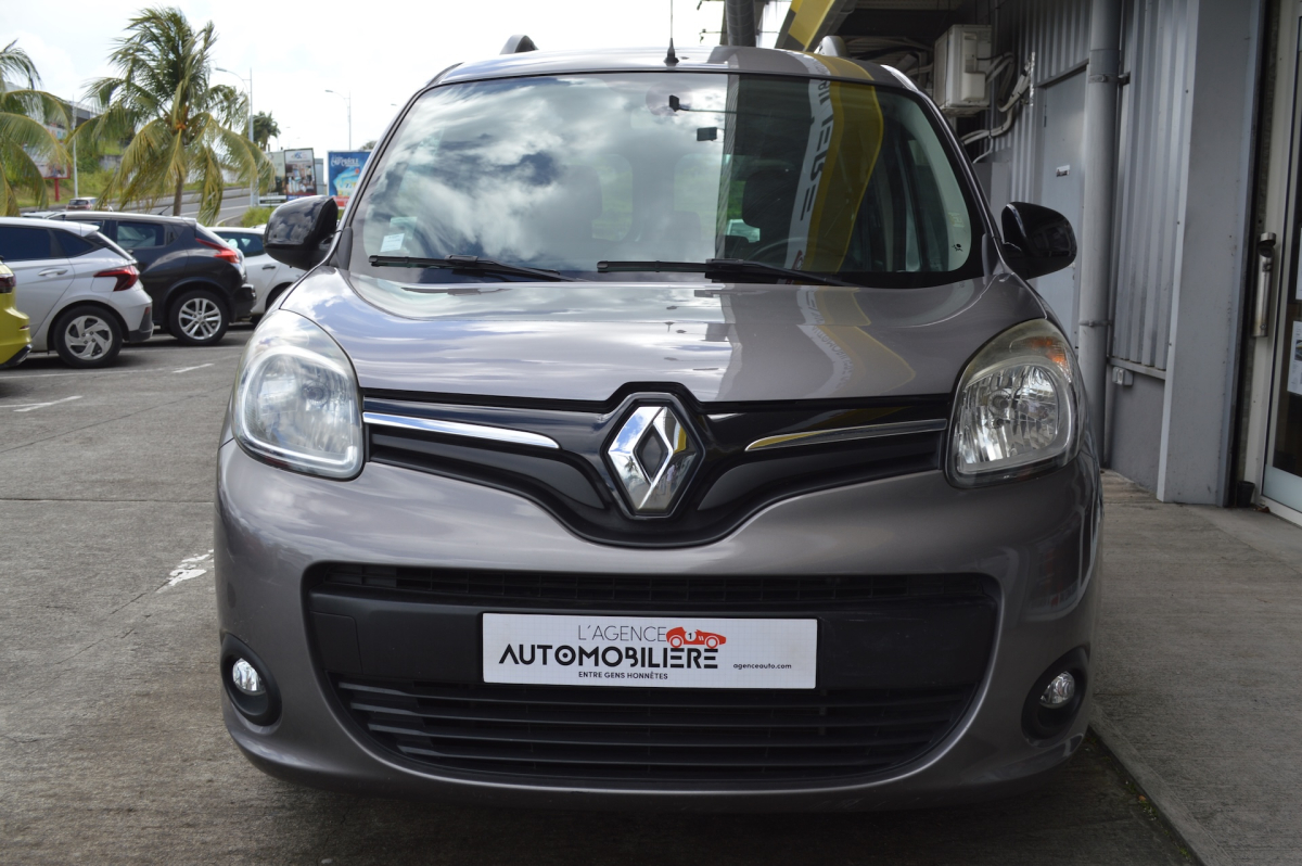 Renault Kangoo — 3