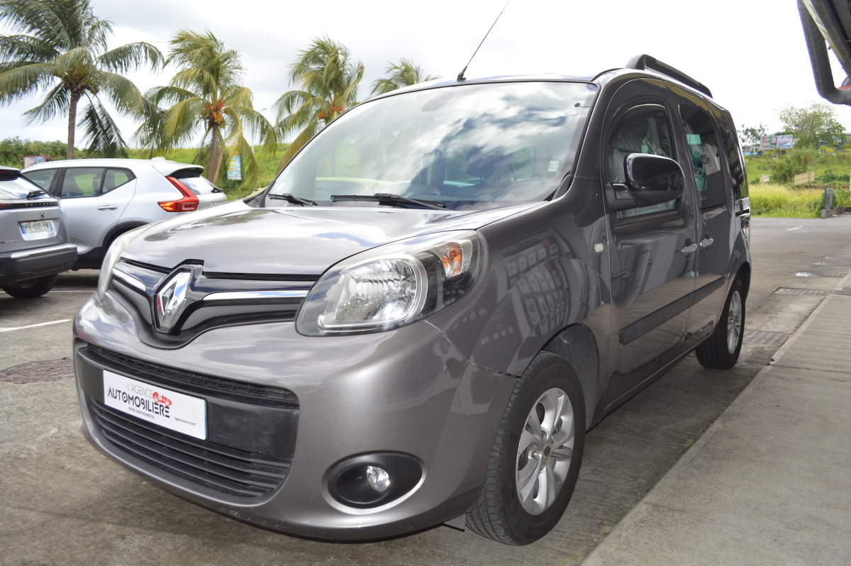 Renault Kangoo — 4