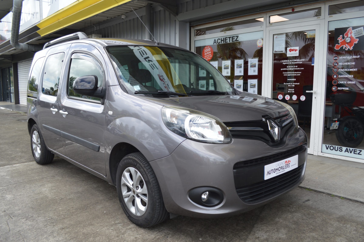 Renault Kangoo — 2