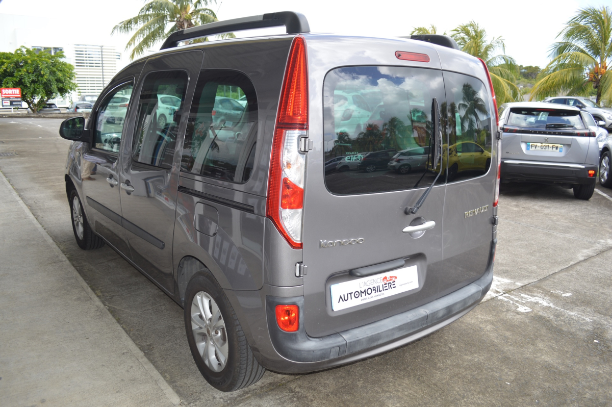 Renault Kangoo — 5