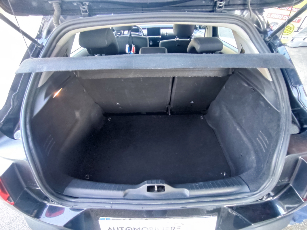 Citroen C4 Cactus — 19