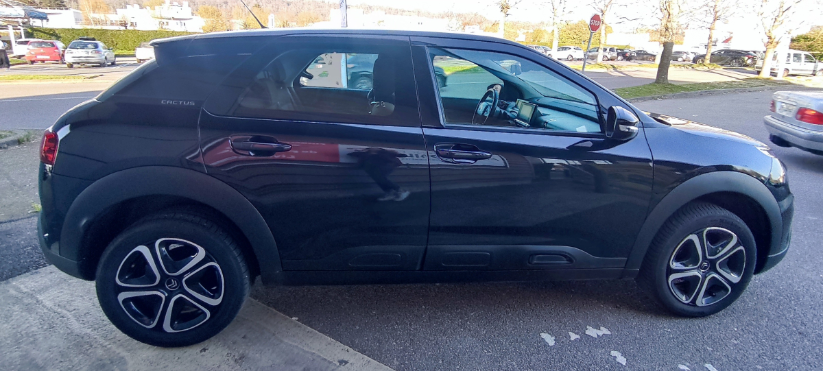 Citroen C4 Cactus — 21