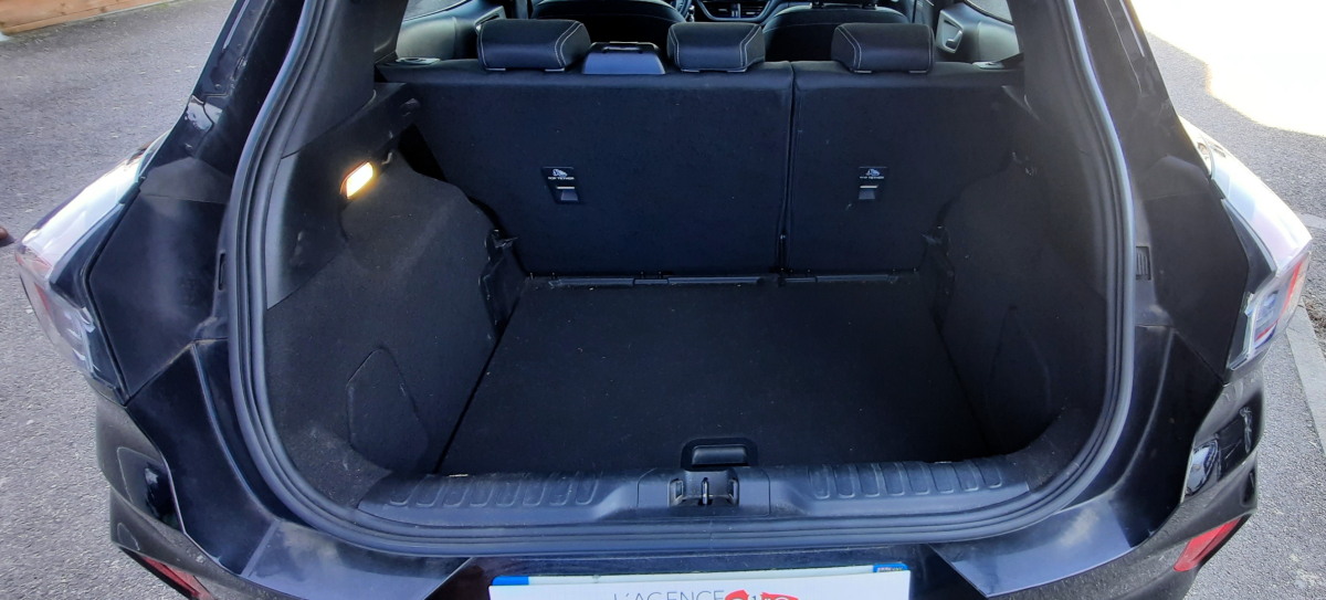 Ford Puma — 21