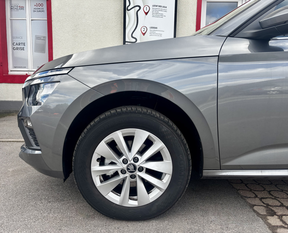 Skoda Kamiq — 9