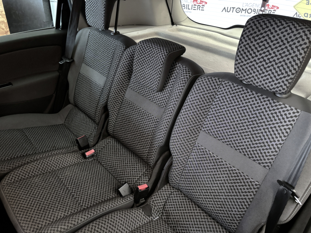 Renault Renault Scenic 3 — 17