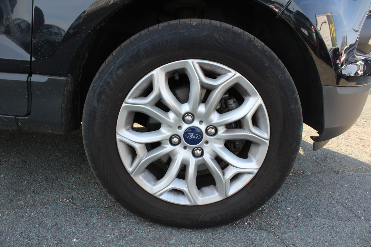 Ford Ecosport — 33