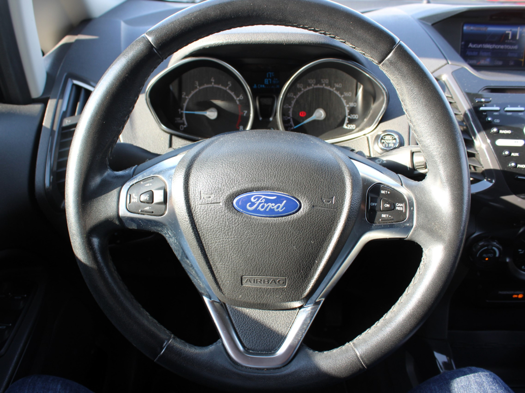 Ford Ecosport — 17