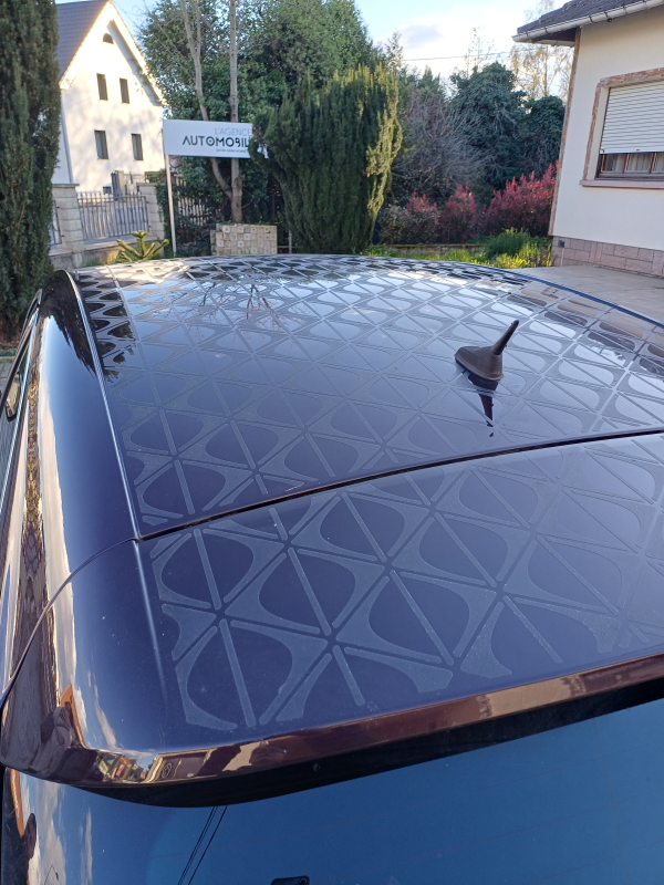 Citroen DS4 — 31