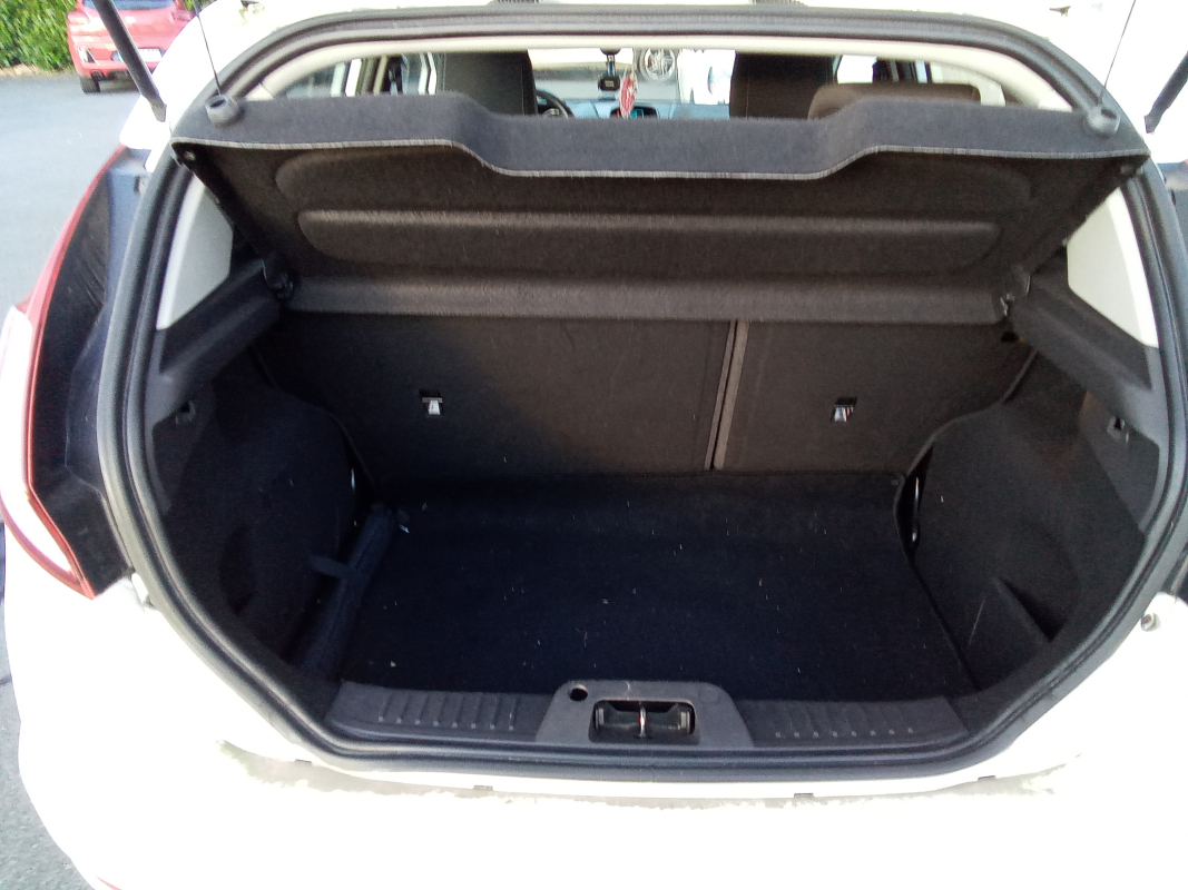 Ford Fiesta — 17