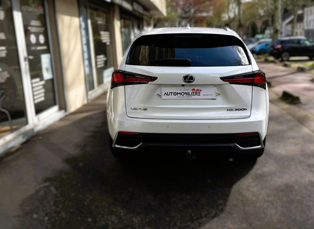 Lexus Lexus Nx 2 — 5