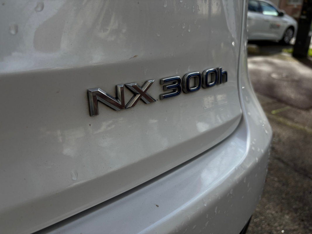 Lexus Lexus Nx 2 — 31
