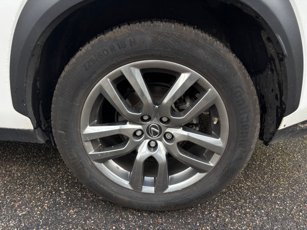 Lexus Lexus Nx 2 — 32