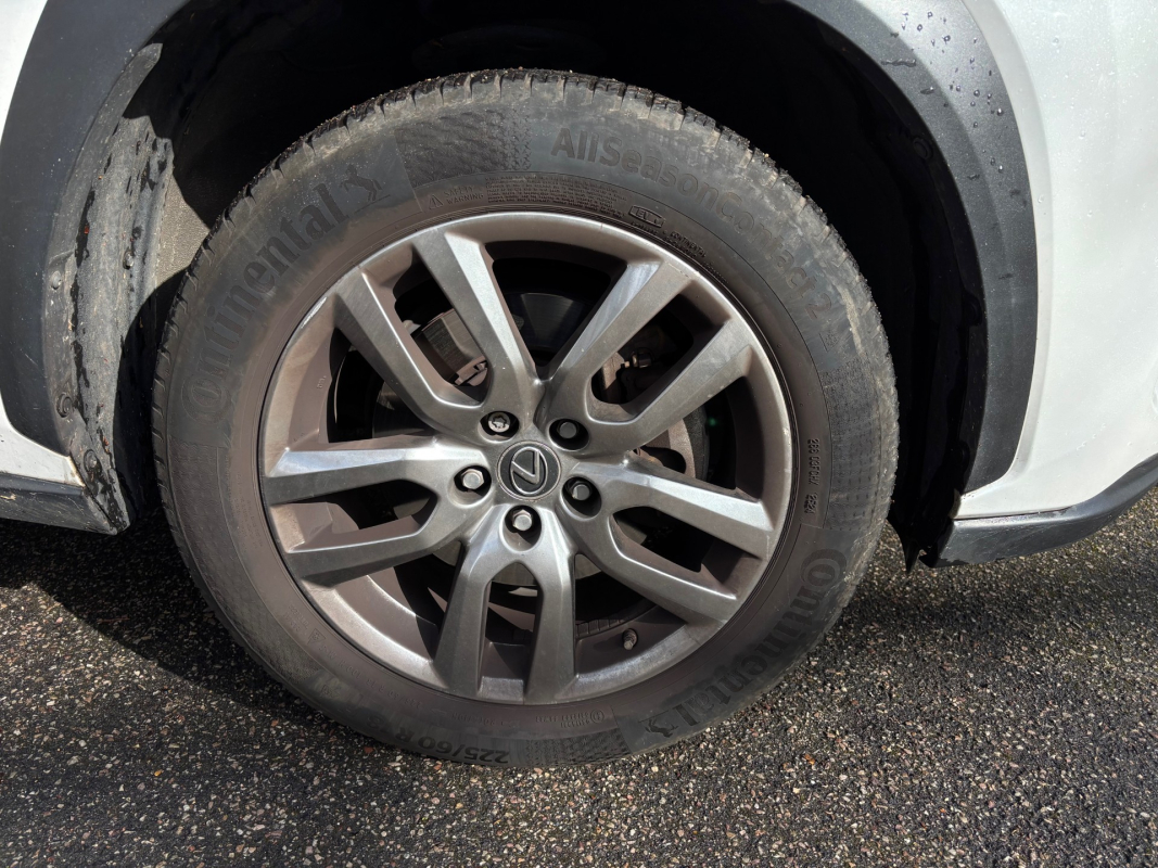 Lexus Lexus Nx 2 — 33