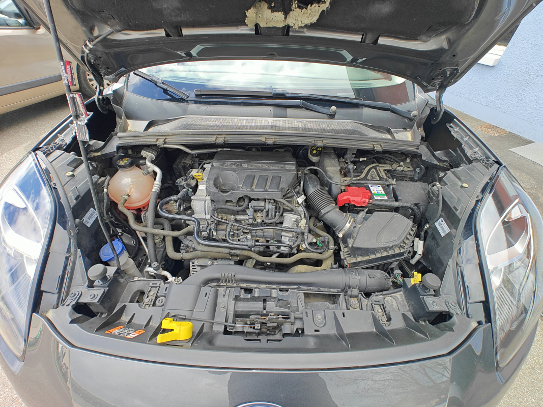 Ford Puma — 40