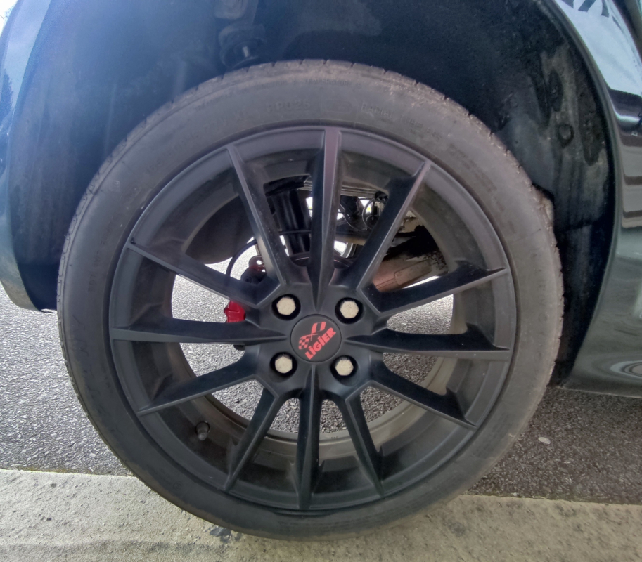 Ligier JS50 — 33
