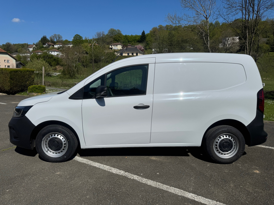 Renault Kangoo — 4
