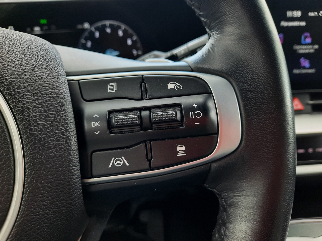 Kia Sportage — 12