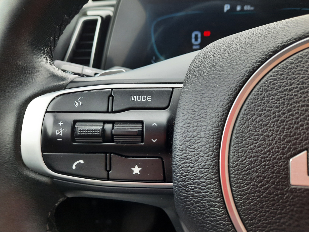 Kia Sportage — 14