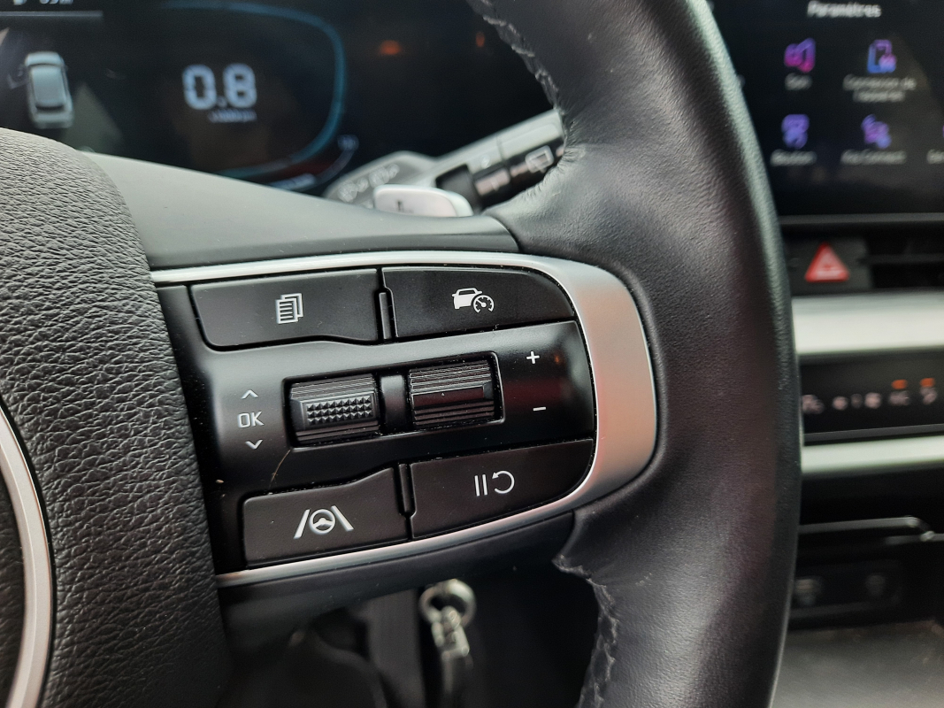 Kia Sportage — 12