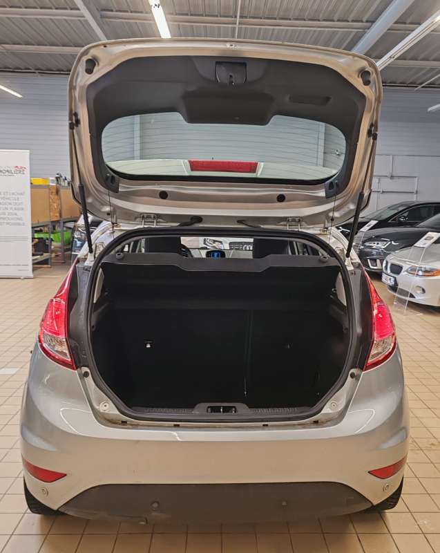 Ford Fiesta — 24