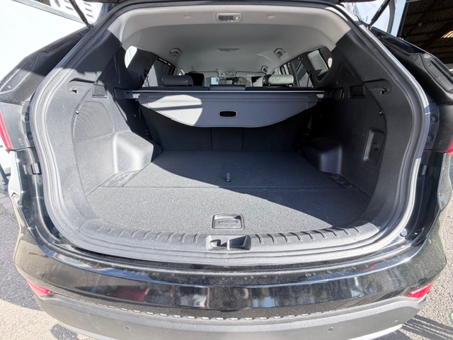 Hyundai Santa Fe — 19