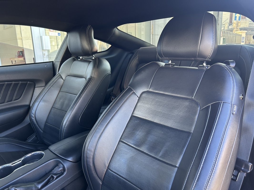 Ford Mustang — 16