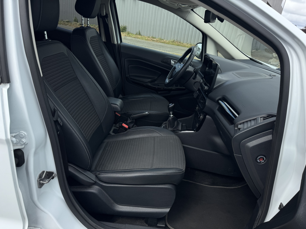 Ford Ecosport — 22
