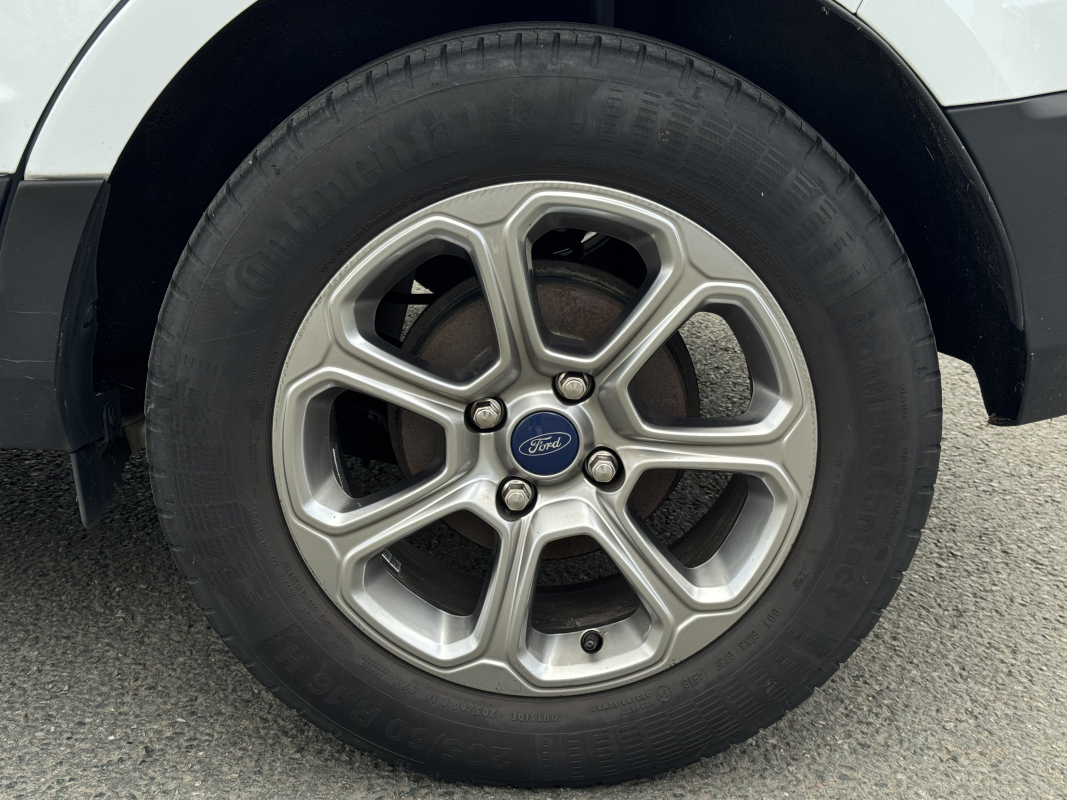 Ford Ecosport — 31
