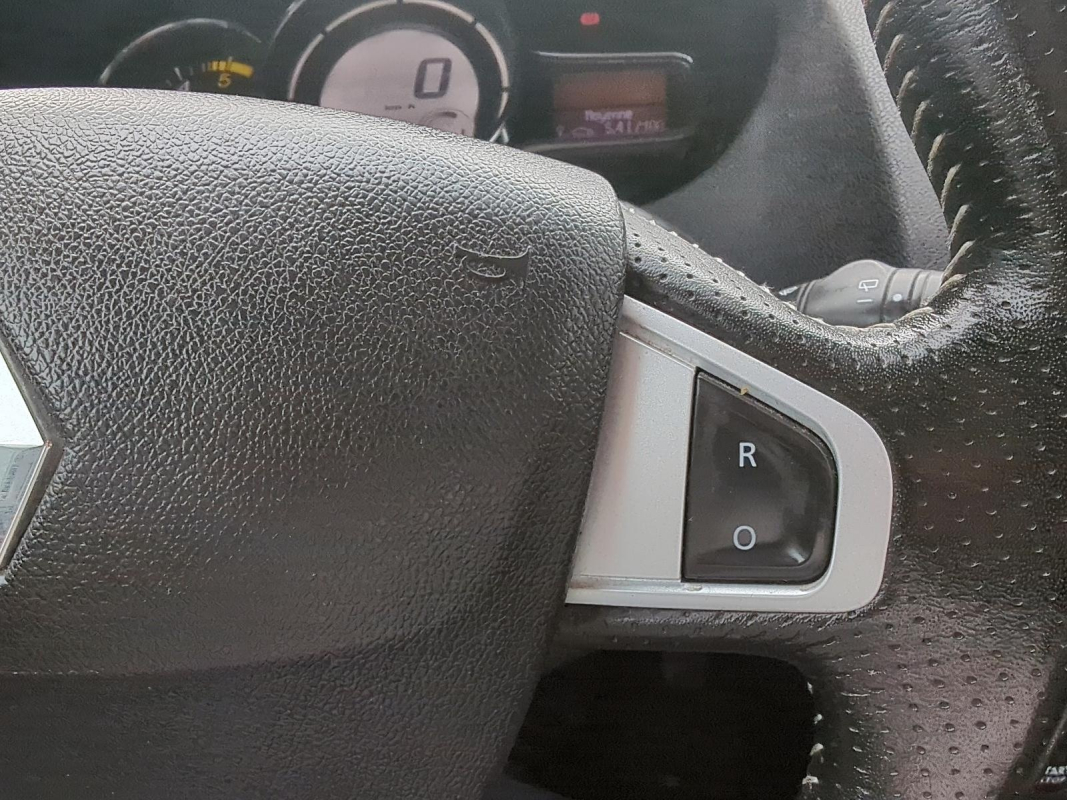 Renault Megane — 15