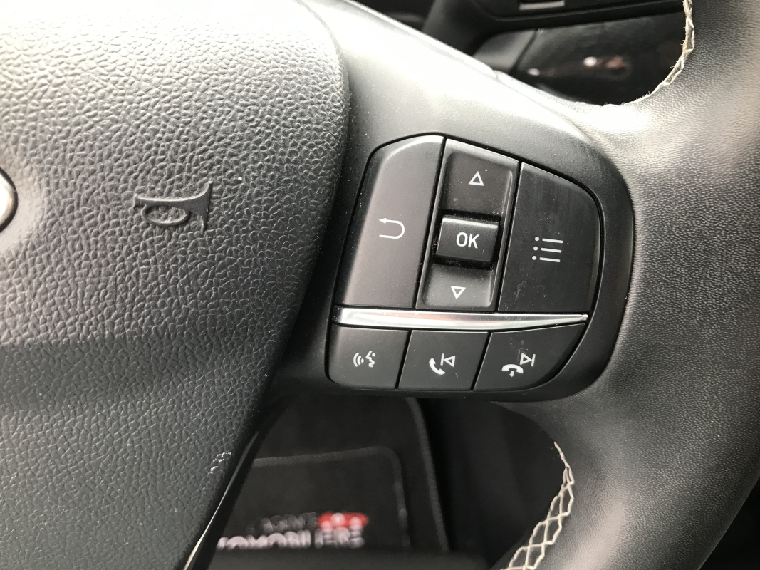 Ford Puma — 14