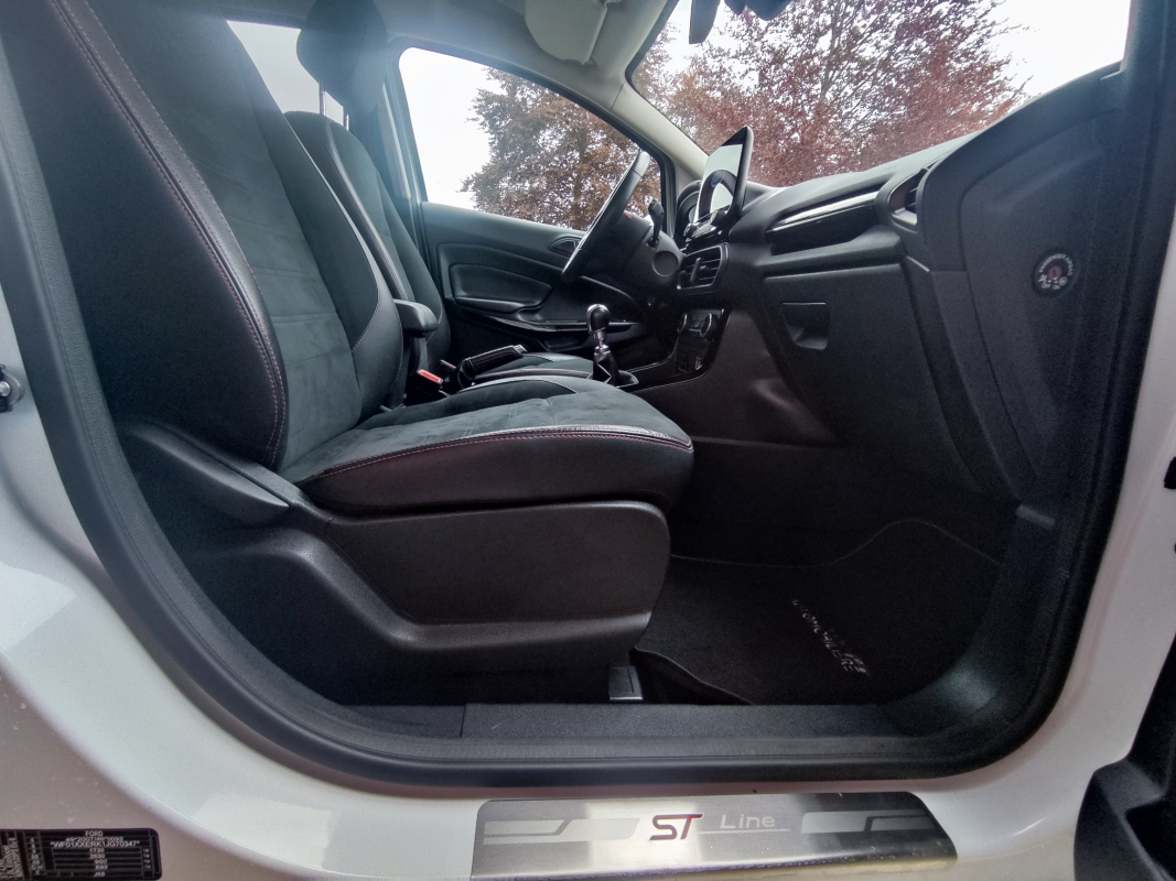Ford Ecosport — 25