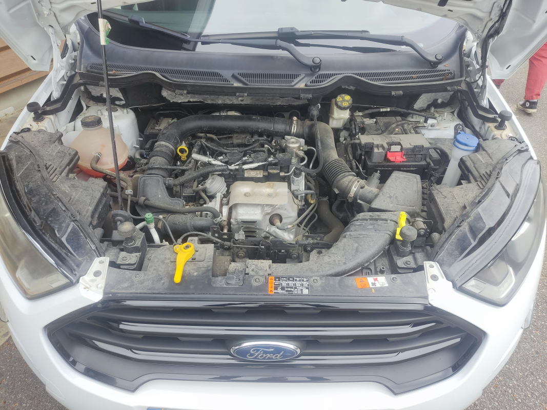 Ford Ecosport — 40