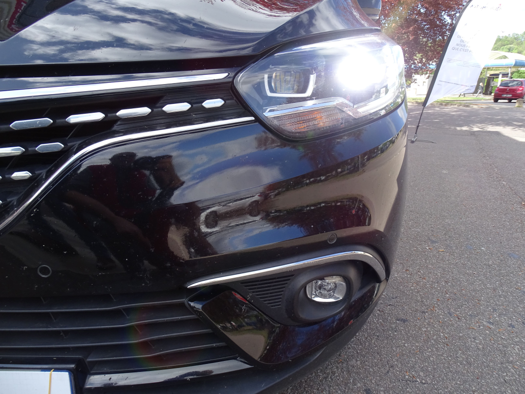 Renault Scenic — 29
