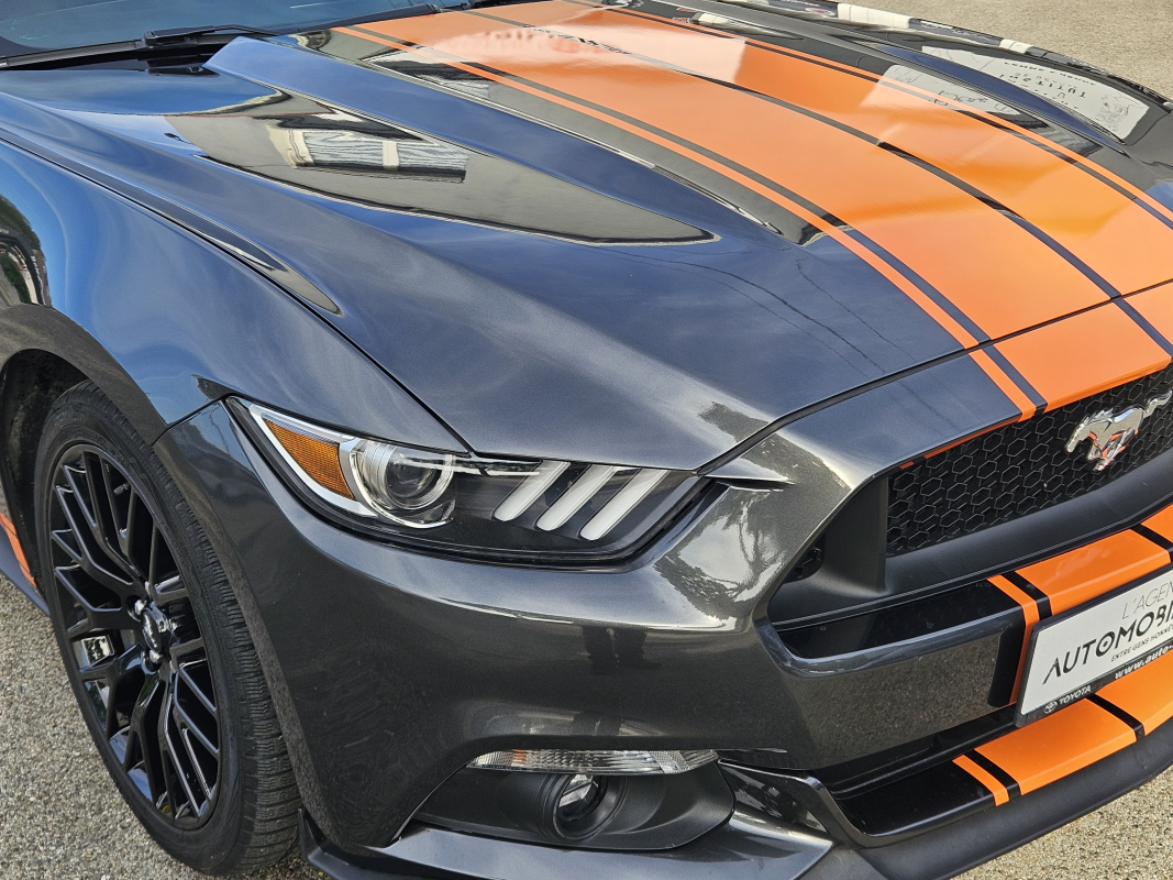 Ford Mustang Fastback — 10