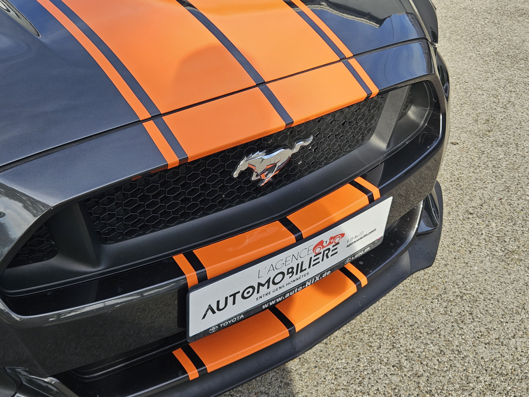 Ford Mustang Fastback — 12