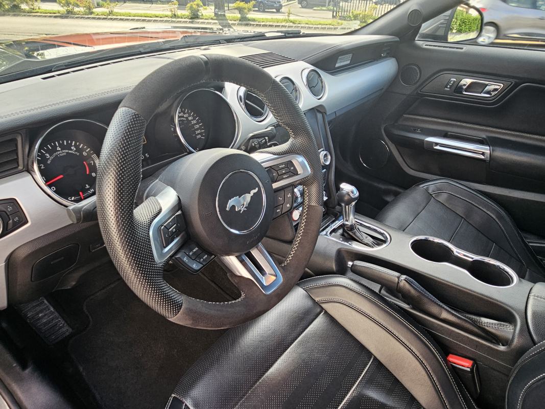 Ford Mustang Fastback — 14
