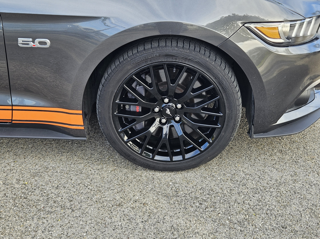 Ford Mustang Fastback — 33
